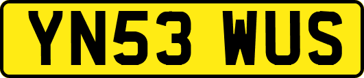 YN53WUS
