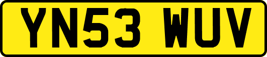 YN53WUV