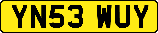 YN53WUY