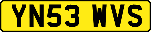 YN53WVS