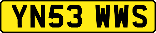 YN53WWS