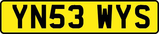 YN53WYS