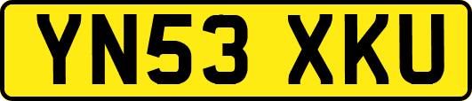 YN53XKU