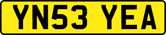 YN53YEA