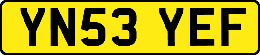 YN53YEF