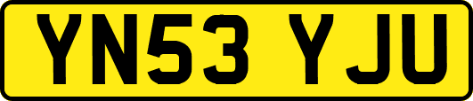 YN53YJU