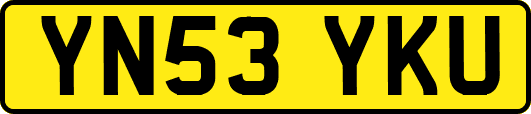 YN53YKU