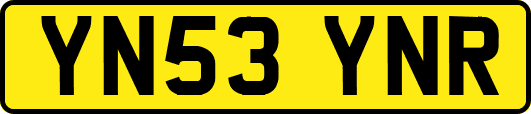 YN53YNR