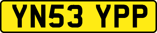 YN53YPP