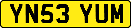 YN53YUM