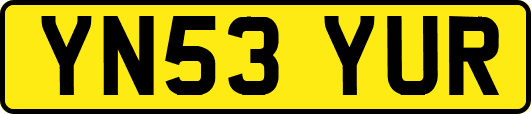 YN53YUR