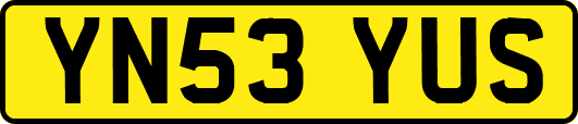 YN53YUS
