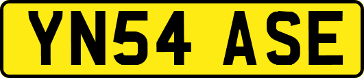 YN54ASE