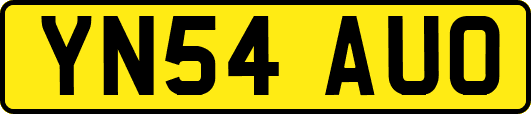 YN54AUO