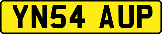 YN54AUP