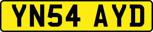 YN54AYD