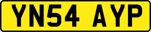 YN54AYP