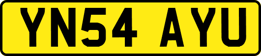 YN54AYU