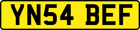 YN54BEF