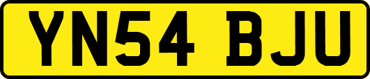 YN54BJU