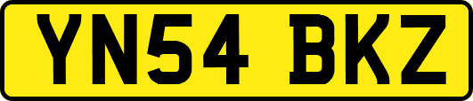 YN54BKZ