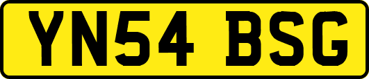 YN54BSG