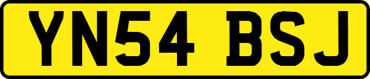 YN54BSJ