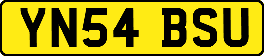 YN54BSU