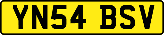 YN54BSV