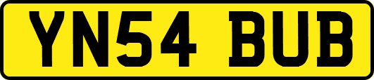 YN54BUB