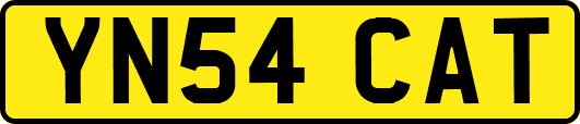 YN54CAT