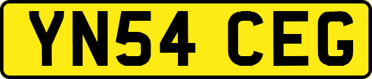 YN54CEG