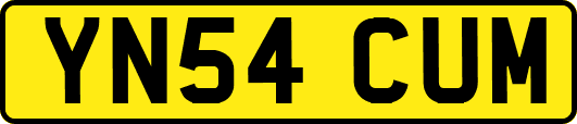 YN54CUM