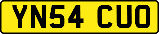 YN54CUO