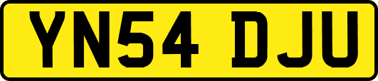 YN54DJU