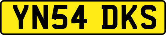 YN54DKS