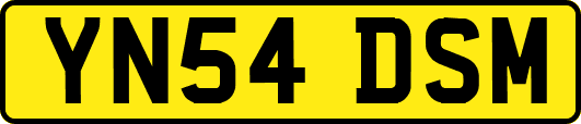 YN54DSM