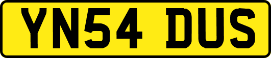 YN54DUS