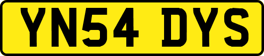 YN54DYS