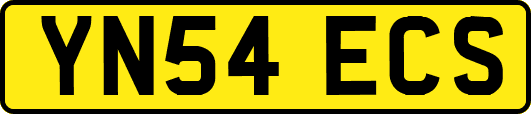 YN54ECS