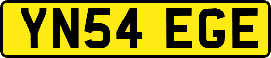 YN54EGE