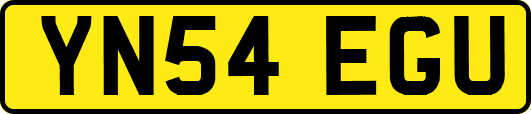 YN54EGU