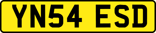 YN54ESD