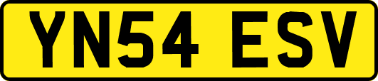 YN54ESV