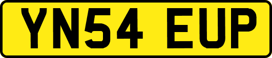 YN54EUP