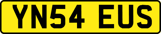 YN54EUS