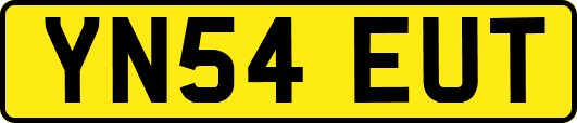 YN54EUT