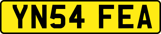 YN54FEA