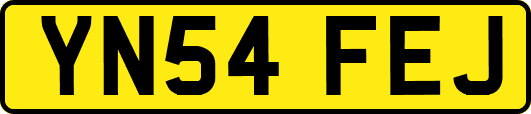 YN54FEJ