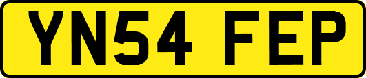 YN54FEP